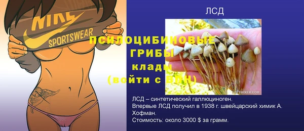 индика Баксан