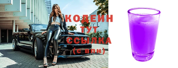 индика Баксан