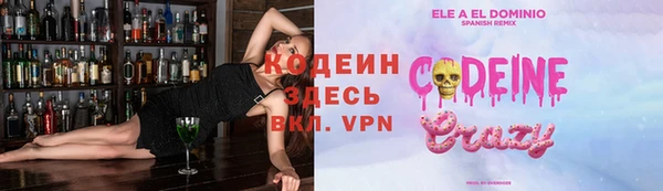 индика Баксан