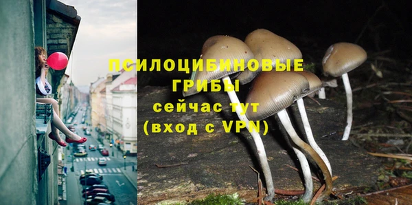 индика Баксан