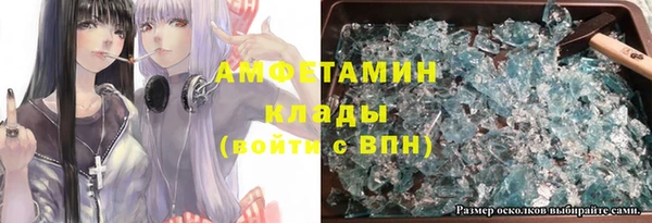 индика Баксан