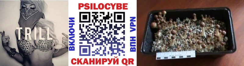 OMG маркетплейс  Советская Гавань  Псилоцибиновые грибы Magic Shrooms  купить наркотики сайты 